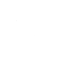 Barrierislandoutfitter